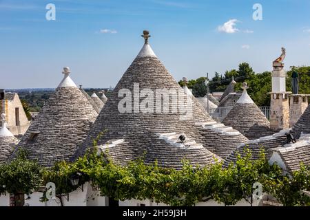 Weinreben auf dem Stein Dach von Trulli in Alberobello, Italien. Der Baustil ist spezifisch für die murge Bereich der italienischen Region ein Stockfoto