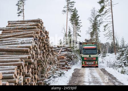 LKW verladen Holz im Wald Stockfoto