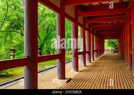 Riesige Holzsäulen, die die Hauptverehrungshalle des Tanzan Jinja Shrine unterstützen. Nara, Japan. Stockfoto