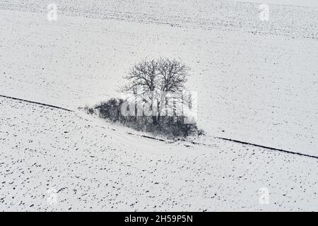 Luftaufnahme von einsamen Baum in Feld mit Schnee bedeckt in kalten Wintermorgen, Drohne pov High-Angle-View-Fotografie Stockfoto