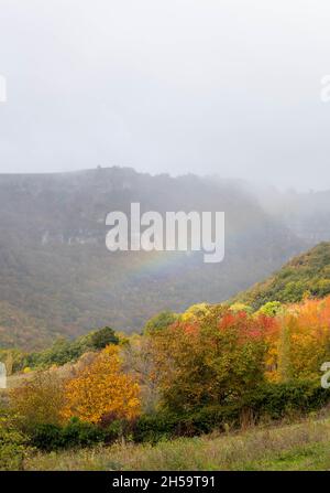 Regenbogen über Herbstwald mit bunten Blättern Stockfoto