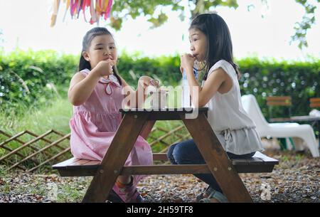 Zwei junge asiatische Schwestern sitzen auf einem winzigen Holzpicknicktisch, teilen ihr gemeinsames Mittagessen und haben Spaß im Freien. Stockfoto