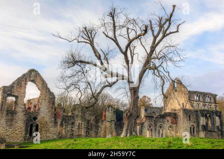 Netley Abbey, Southampton, Hampshire, England, Vereinigtes Königreich Stockfoto