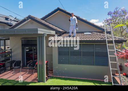 Ein Mann in weißen Overalls steht mit einem Pinsel in der Hand auf seinem Hausdach, während seine Honigbienen aus seinem Flow Hive um seinen Hinterhof in Sydney fliegen Stockfoto