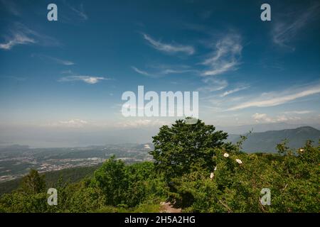 Panoramablick auf die Alpen in Italien Stockfoto