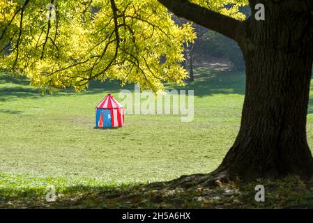 Kinder zelten in einem Park Stockfoto