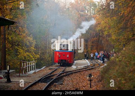 Budapester Kinderbahn (Gyermekvasút) Stockfoto