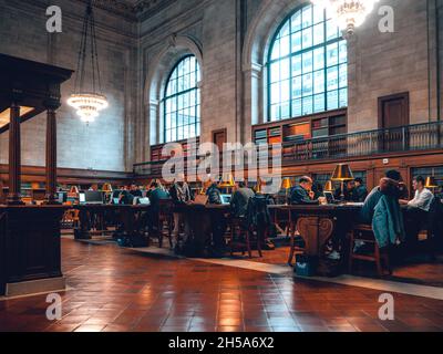 Menschen, die in einer Bibliothek lesen Stockfoto