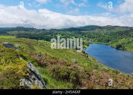 Der Blick über Llyn Geirionydd in der Nähe von Llanrwst in Richtung Snowdonia Stockfoto