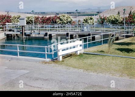 Der fertige Gila-Kanal, in der Nähe von Yuma, Arizona, USA, wurde Anfang der 1950er Jahre fertiggestellt. Hier wurde die „Afterbay“ ‘der Spitze einer der Pumpstationen entlang des Kanals mit Gras und Sträuchern bepflanzt. Das Wellton-Mohawk Bewässerungs- und Entwässerungsgebiet liegt im Südwesten von Arizona, östlich von Yuma, das zwischen 1949 und 1957 erbaut wurde. Es ermöglicht die Bewässerung im Lower Gila Valley mit Wasser vom Colorado River über den Gila Canal zum Wellton-Mohawk Canal, wo es etwa 160 Meter bis zum Quellwasser gepumpt wird – ein Vintage-Foto aus den 1950er Jahren. Stockfoto