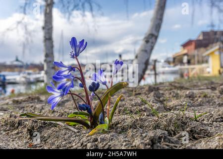 Stockholm, Schweden – 8. April 2021: Stockfoto