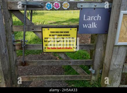 Nahaufnahme eines Bleihundes auf einem Bleiwarnschild am Holztor in der Nähe von Ackerland auf dem Land England Großbritannien GB Großbritannien Stockfoto