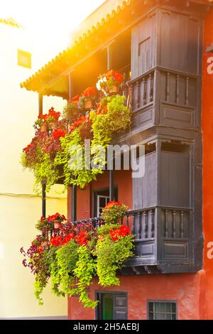 Rotes Haus mit altem Holzbalkon und vielen Pflanzen und weihnachtsblumen, Touristenattraktion von Santa Cruz de La Palma, Kanarische Inseln. Stockfoto
