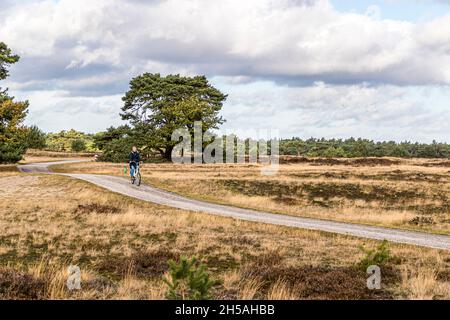 Mit dem Leihrad durch den Nationalpark De Hoge Veluwe in Otterlo, Niederlande Stockfoto