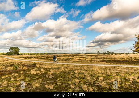 Mit dem Leihrad durch den Nationalpark De Hoge Veluwe in Otterlo, Niederlande Stockfoto