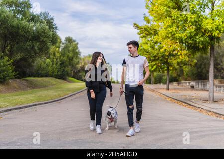 Zwei junge kaukasische Menschen gehen an einer Leine in einem Park mit einem amerikanischen Bully-Hund spazieren Stockfoto