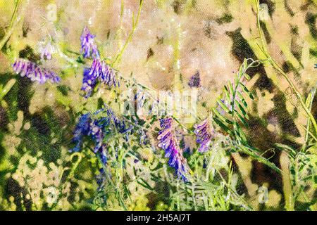 Vicia cracca. Flieder Haufen Wiesengrasblumen. Sommerweide. Digitale Aquarellmalerei Stockfoto