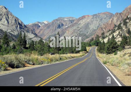 Kalifornien, USA: Fahrt durch die Sierra Nevadas in Richtung Lundy Lake. Stockfoto