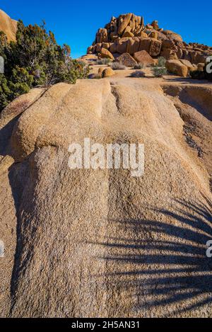 Joshua Tree National Park - Twentynine Palms - Kalifornien Stockfoto