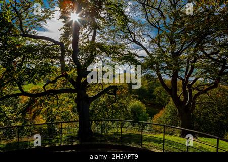 Mitten im herbstlichen Farbenrausch platzt die Sonne im Greenwich Park mit dem Royal Observatory in London durch die Bäume Stockfoto