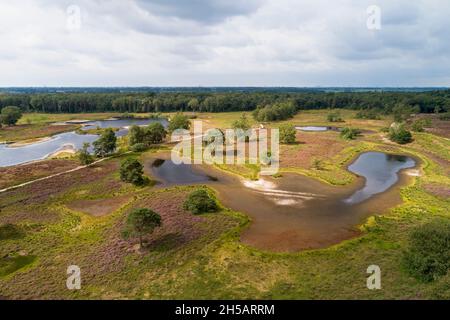 Luftaufnahme von teilweise ausgetrockneten Seen im Overasseltse en Hatertse Vennen im extrem trockenen Sommer 2019, Overasselt, Gelderland, dem N Stockfoto