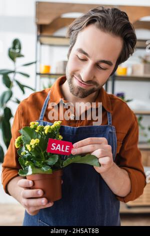 Junger Verkäufer in Schürze Holding Pflanze mit Preisschild in Blumenladen Stockfoto