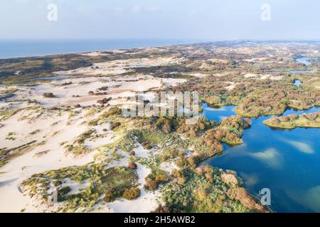 Luftaufnahme der Dünen von Meijendel an einem nebligen Tag, Zuid-Holland, Niederlande Stockfoto