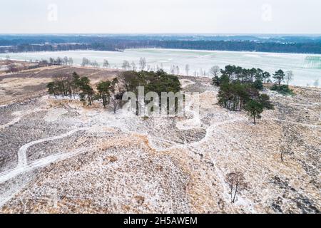 Luftaufnahme des schneebedeckten Naturschutzgebietes Buurserzand im Januar 2019, Overijssel, Niederlande Stockfoto