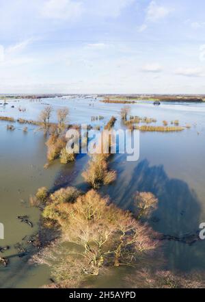 Luftaufnahme des Hochwassers im Winter im Fluss IJssel und in den Auen, Januar 2018, Overijssel, Niederlande Stockfoto
