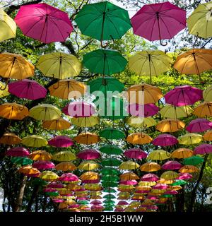 Viele bunte Sonnenschirme mit Bäumen um, holambra, Staat Sao Paulo, Brasilien. Stockfoto