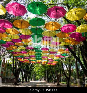 Viele bunte Sonnenschirme mit Bäumen um, holambra, Staat Sao Paulo, Brasilien. Stockfoto