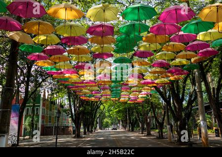 Viele bunte Sonnenschirme mit Bäumen um, holambra, Staat Sao Paulo, Brasilien. Stockfoto