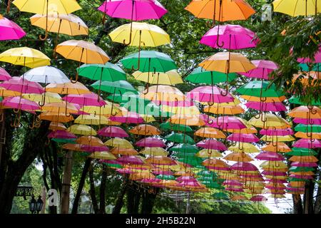 Viele bunte Sonnenschirme mit Bäumen um, holambra, Staat Sao Paulo, Brasilien. Stockfoto