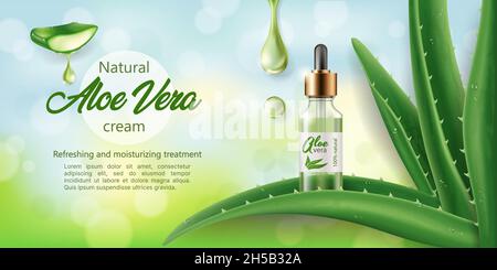 Banner der Naturkosmetik mit Aloe Vera, realistische Vektor-Illustration Nahaufnahme Stock Vektor