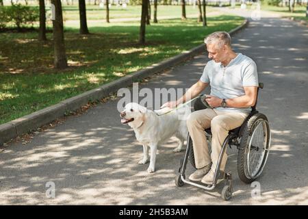Porträt eines erwachsenen Mannes im Rollstuhl mit Hund im Park im Freien, Platz zum Kopieren Stockfoto