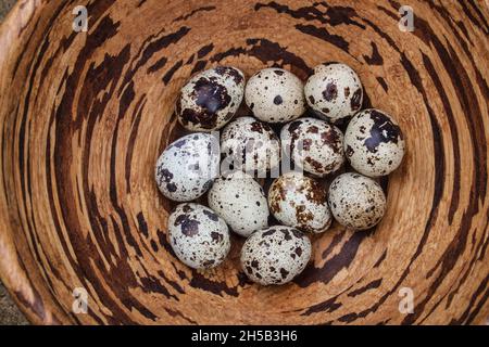 Ein Dutzend Wachteln Eier schmiegt sich in eine Holzschale. Kreisförmige und angeklatschte braune Muster. Stockfoto