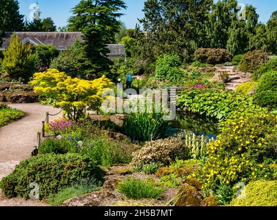 Blumen, Pflanzen und Teich im Steingarten an sonnigen Tagen, Royal Botanic Garden, Edinburgh, Schottland, Großbritannien Stockfoto