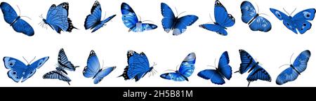 Realistische blaue Schmetterlinge. Fliegender Schmetterling, isolierte Sammlung heller Insekten. Dekorative Frühling Sommer Wald und Garten wilde Tiere Vektor-Set Stock Vektor