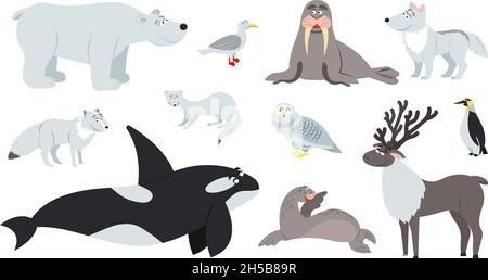 Arktische Tiere. Polar Tier, Cartoon niedlichen Bären Walrus Pinguin. Flache, lustige antarktische Robbe, Nordpolwildtier. Rentier Fuchs kindisch anständig Vektor-Set Stock Vektor
