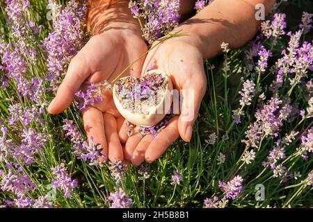 Natürliche handgemachte Seife in Form eines Herzens in den Händen eines Mädchens in Lavendelblüten. Herstellung von Seife aus natürlichen Inhaltsstoffen für kosmetische Verfahren Stockfoto