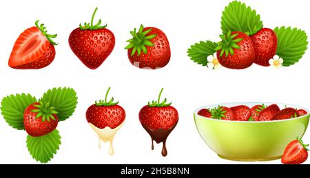Rote Erdbeere. Realistische Beeren, Erdbeeren Pflanzen mit Blatt und Blumen. Frische landwirtschaftliche Rohkost in Schüssel, isolierte süße vegane Öko-Dessert-Produkt Stock Vektor