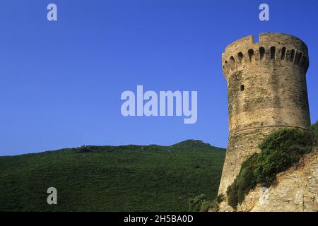 GENUESER TURM DER LOSSE, CAP CORSE, NORDEN KORSIKAS (2 B), KORSIKA, FRANKREICH Stockfoto