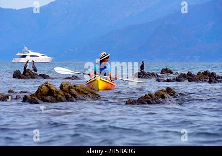 FRANKREICH, KORSIKA INSEL ( 2B ), SAINT FLORENT, MEER KAYAK IN DER BUCHT VON SAINT FLORENT MIT KORMORANEN Stockfoto