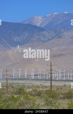 Der riesige Windpark San Gorgonio Pass, in der Nähe von Palm Springs CA Stockfoto