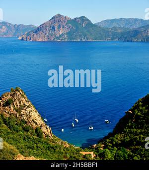 FRANKREICH, KORSIKA ( 2A ), PORTO, OTA, DER KLEINE STRAND VON FICAJOLA IN DER CALANCHE VON PIANA, BUCHT VON PORTO, UNESCO-WELTKULTURERBE Stockfoto