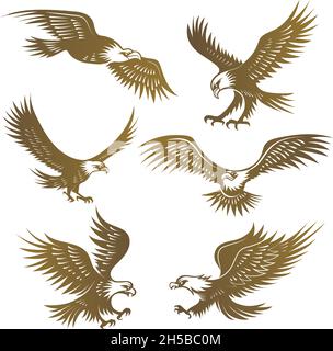 Adler stilisiert. Fliegende wilde Freiheit Vögel Hawk jüngsten Vektor-Embleme Stock Vektor