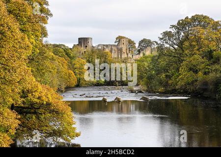 Barnard Castle, Teesdale, County Durham, Großbritannien. November 2021. Wetter in Großbritannien. Farbenfrohe Herbstbäume säumen die Ufer des Flusses Tees mit den imposanten mittelalterlichen Ruinen von Barnard Castle als Hintergrund. Kredit: David Forster/Alamy Live Nachrichten Stockfoto