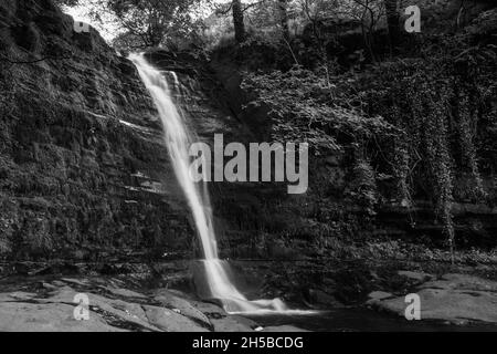 Blaen y Glyn ISAF auf dem Talybont Waterfalls Walk, Talybont Wales Großbritannien. Juli 2021 Stockfoto