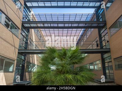 Badajoz, Spanien - 16. September 2019: Fakultät für Wissenschaftsgärten, Badajoz Campus der Universität Extremadura, Spanien Stockfoto