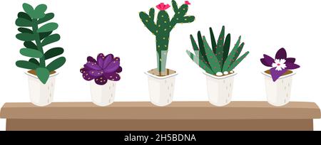 Aussaat in Töpfen. Gartenpflanzen, Sukkulenten für Gewächshaus. Isolierte Blumen, Grünpflanzen und Kaktus Vektor-Set Stock Vektor